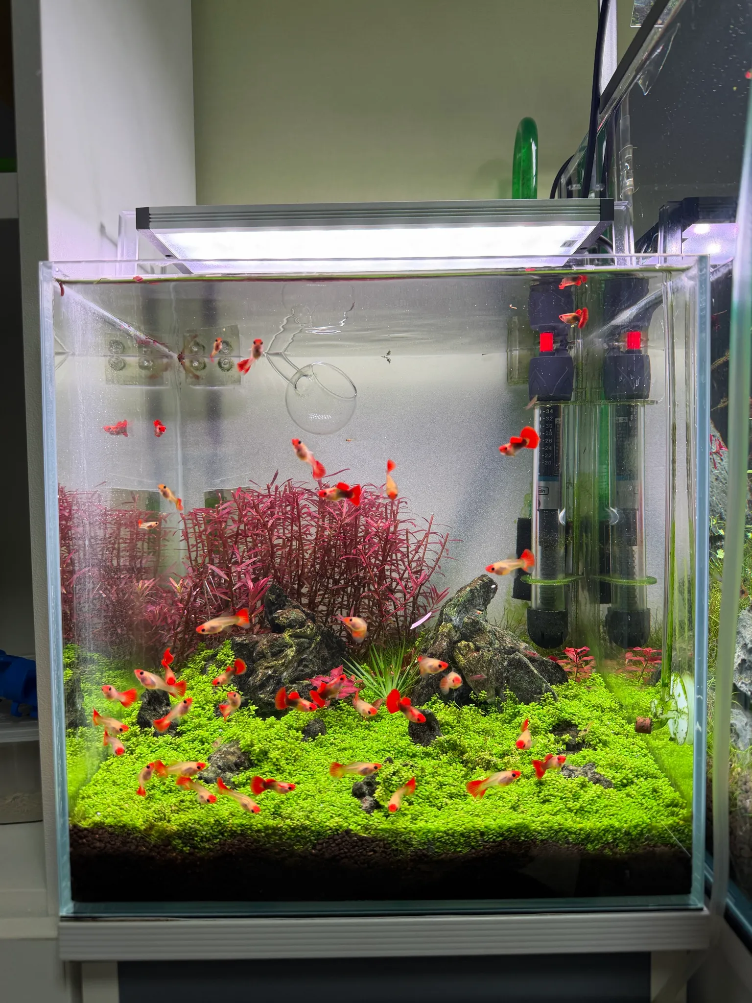 30큐브