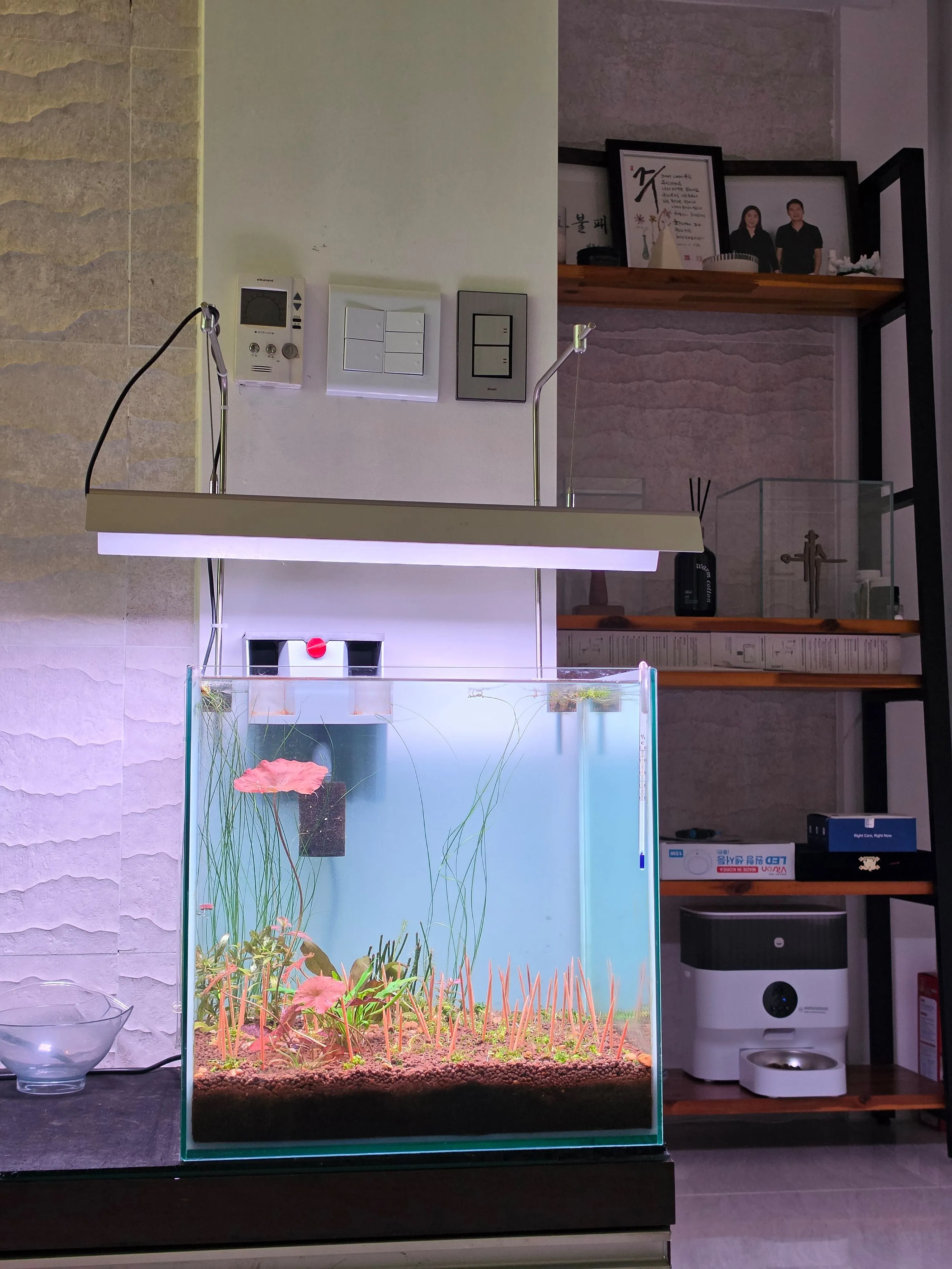 40큐브