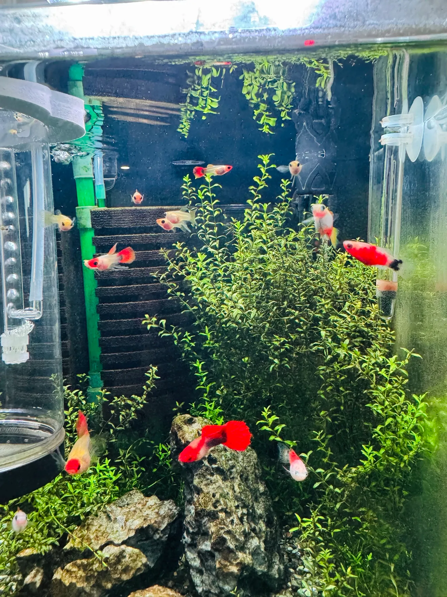 30큐브